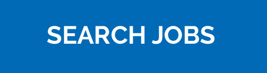 search button