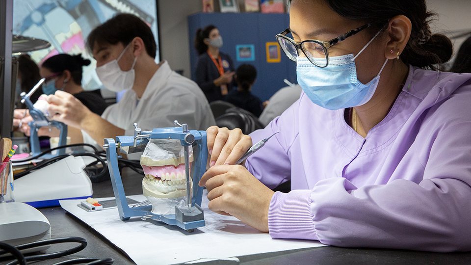 instructor showing dental work to student