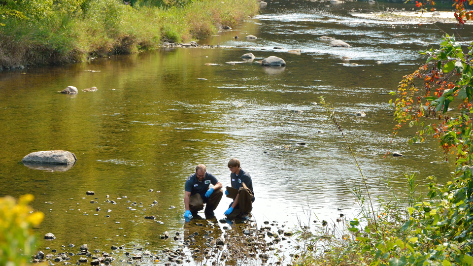 two men in a body of water testing outdoor water quality