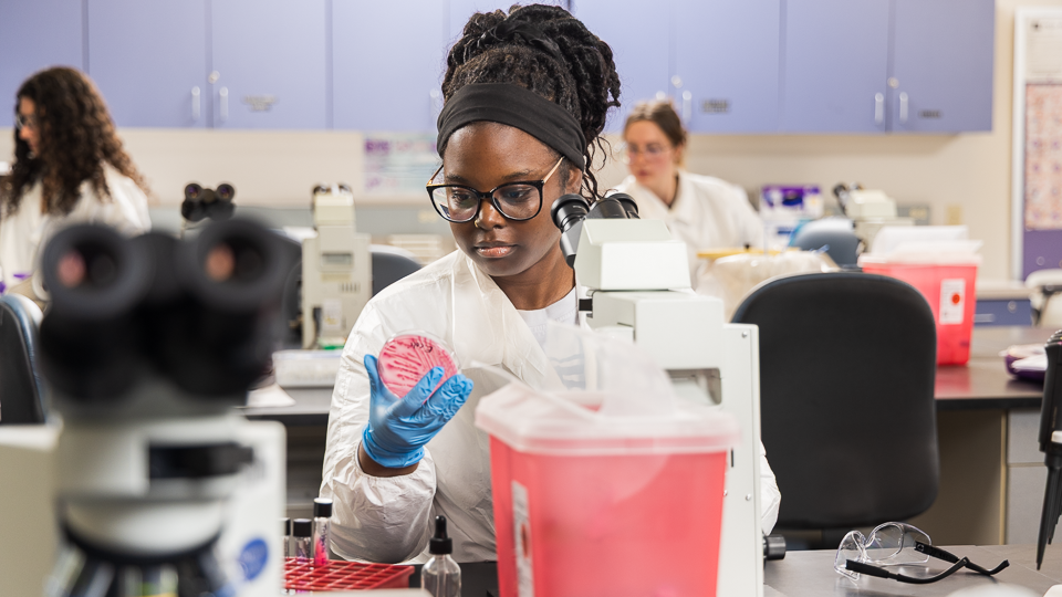 Medical Laboratory Technician program pic