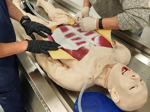 SynDaver synthetic cadaver