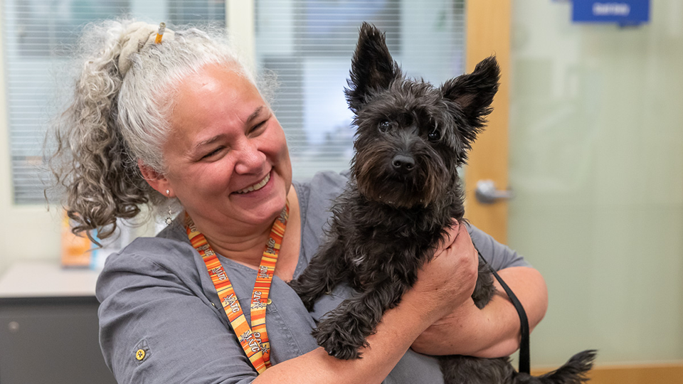 Pepper emotional support dog