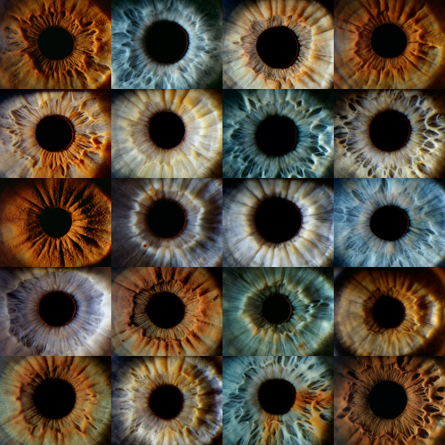 Mark Maio eye photo