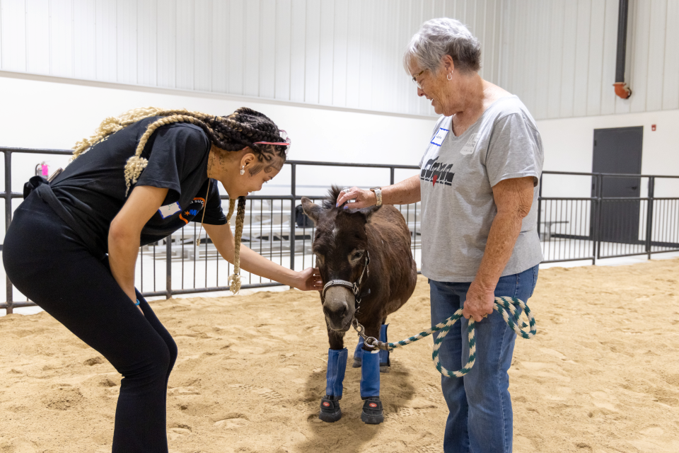 MKE Urban Stables