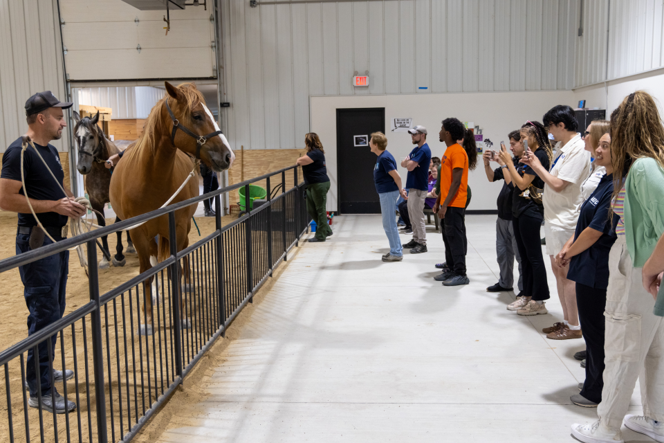 MKE Urban Stables