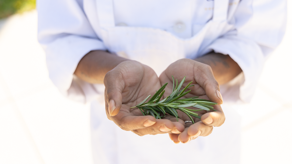 Student holding herbs in cupped palms of their hands