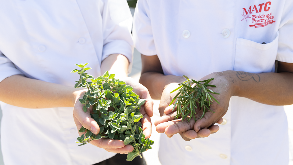 Two students holding herbs in outstretched hands 